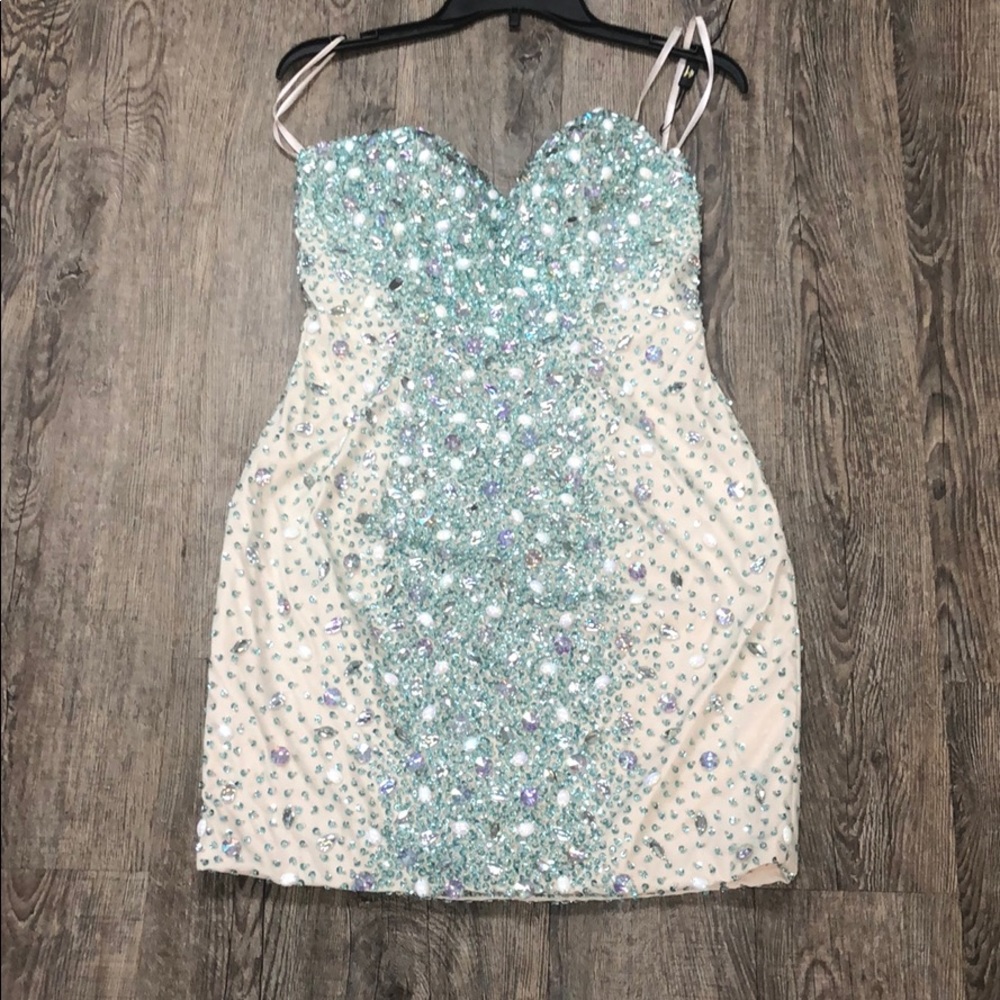 Terani Prom/ Homecoming dress